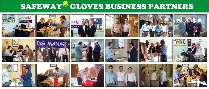 Safeway Gloves international partners